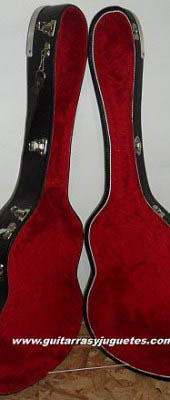 estuche reforzado para guitarra vista abierto